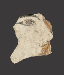 Fragment eines Freskos, das das Gesicht einer Frau darstellt, Späte minoische I Periode